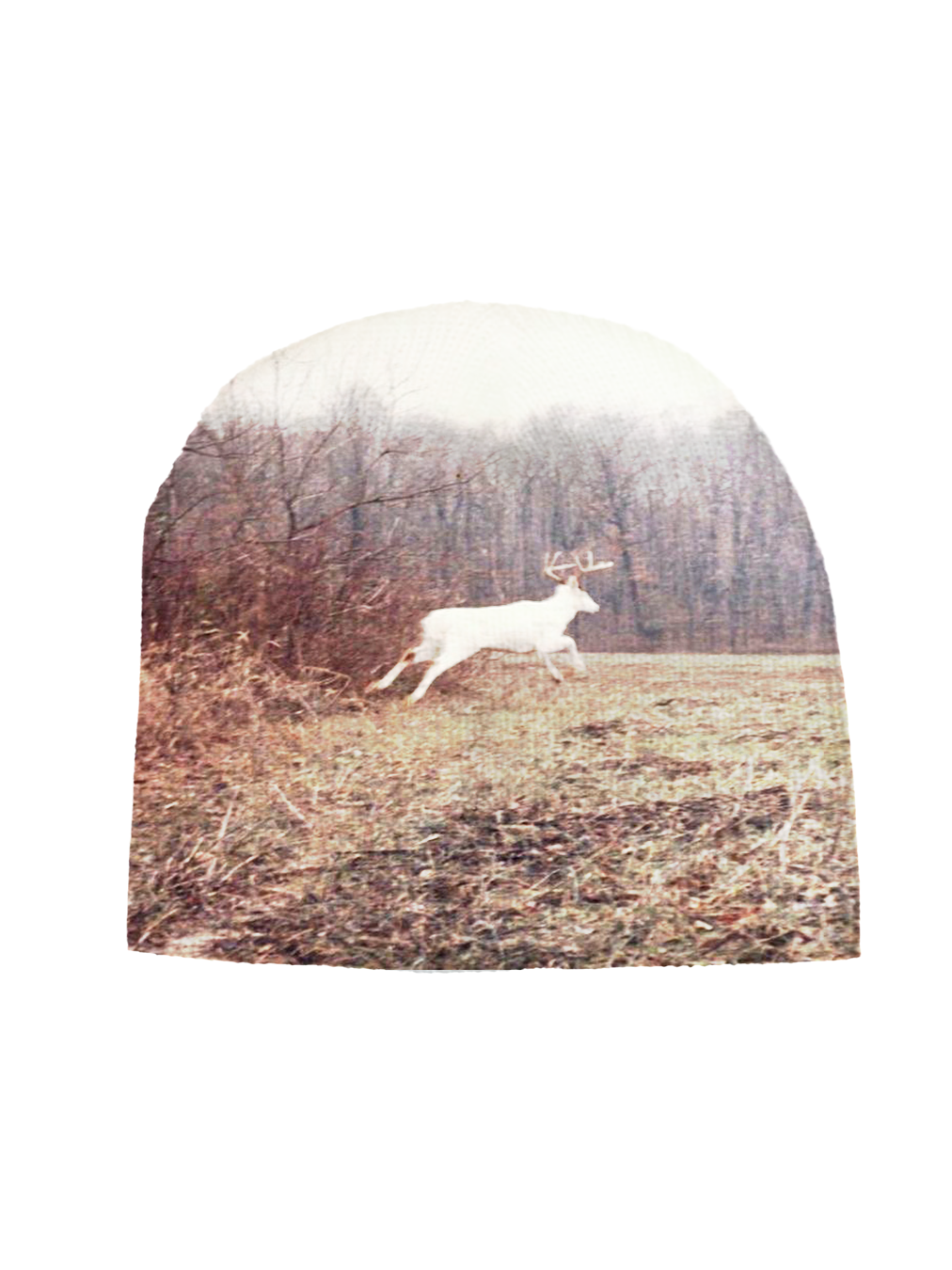 LEAP OF FAITH BEANIE