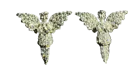ANGEL EARRING