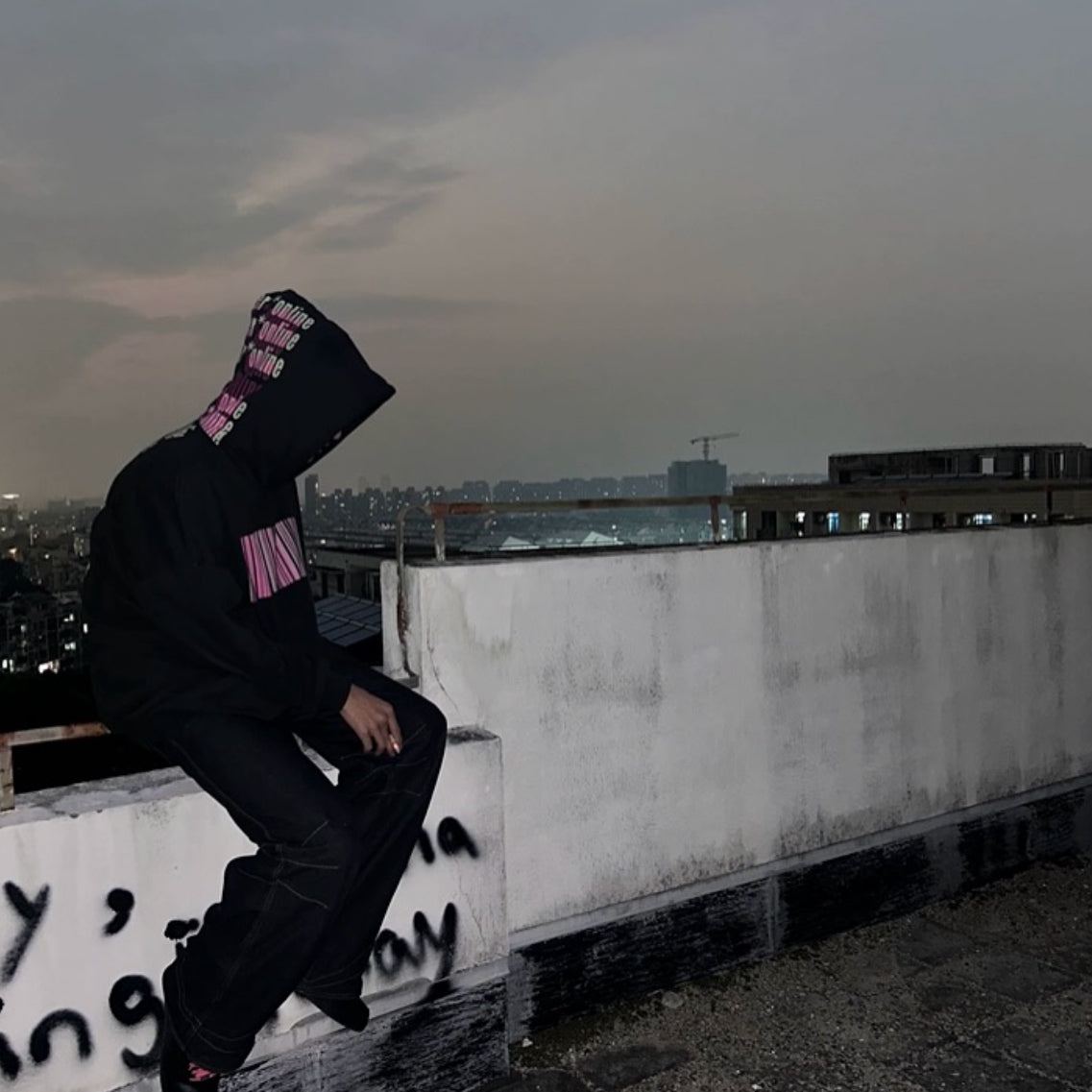 "Malware" Hoodie